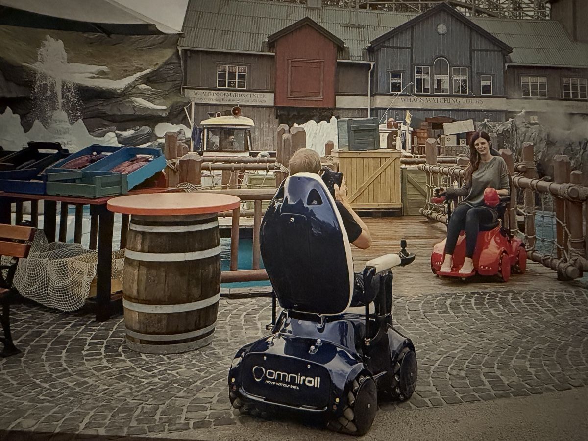 Sedie a rotelle: Rollstuhl Omniroll Omnichair – Usato da Wetzikon ZH venduto da GOOD-WATER 9