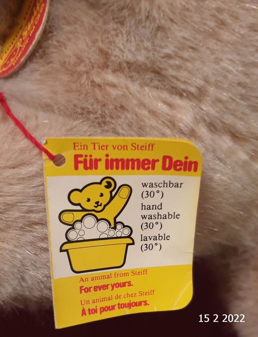 Giocattoli: Steiff Hase Floppy Hansi schlafend – Nuovo (secondo la descrizione) da Basel venduto da The_Onliners 5
