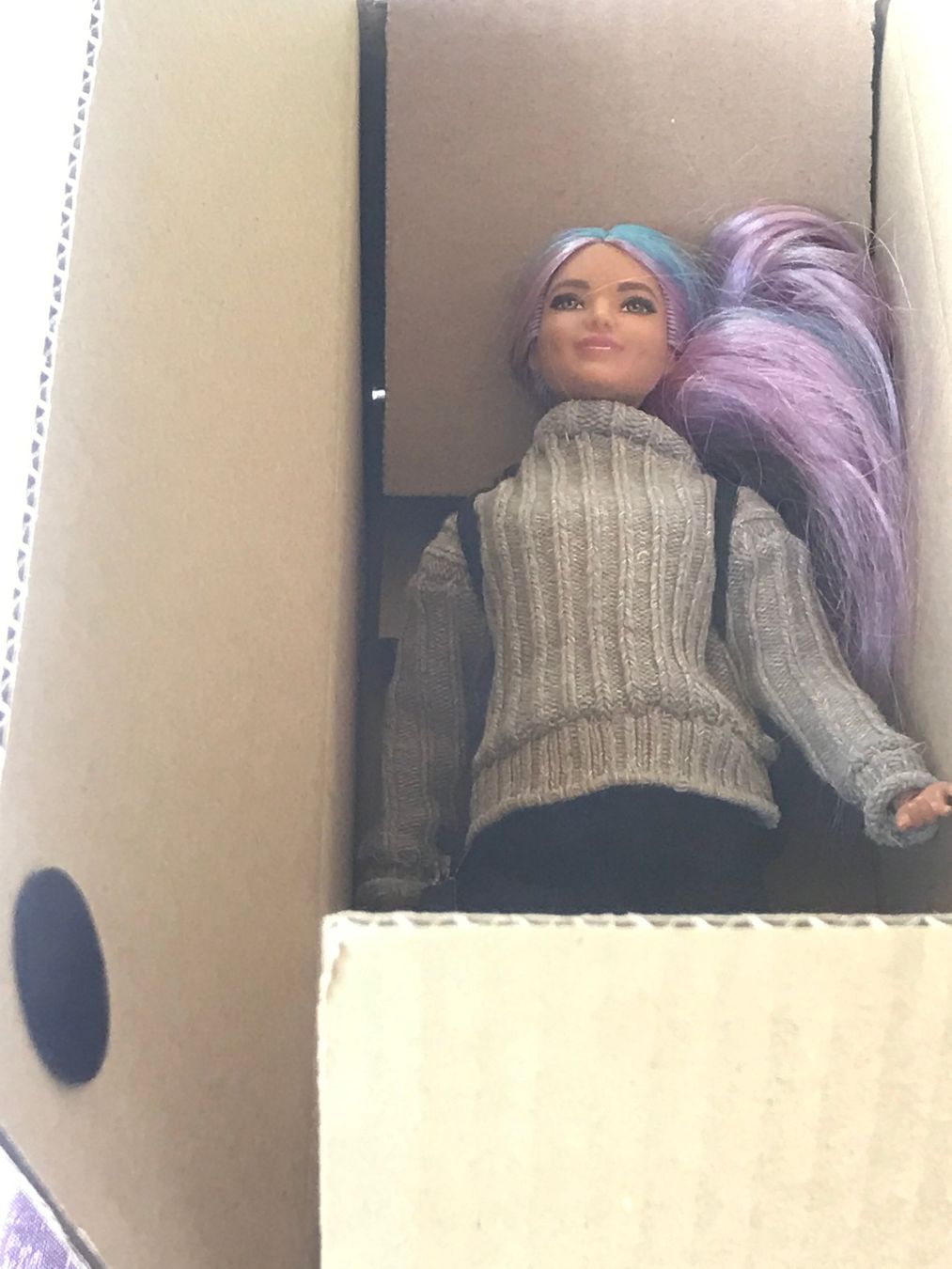 Bambole: OOAK Barbie Explorerin (artikuliert) – Usato da Onex venduto da johnca 6