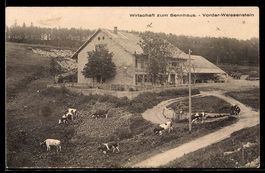 AK Vorder-Weissenstein, Gasthaus zum Sennhaus aus der Vogels