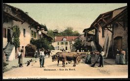 AK Hermance, Rue du Nord
