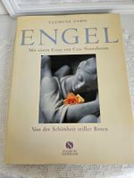 Engel Von der Schönheit stiller Boten Clemens Zahn