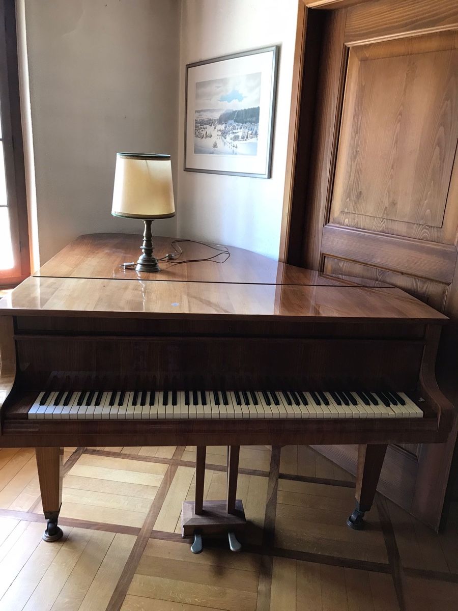Strumenti musicali: Lipatti Flügel, braun – Usato da Solothurn venduto da Bobesch08