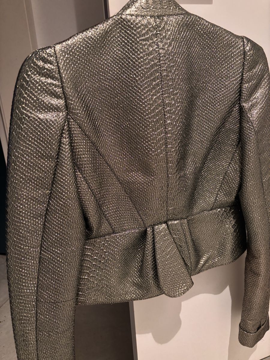 Giacche: Bally Metallic Silver Snakeskin Jacket IT36/US4 – Nuovo (secondo la descrizione) da Zürich venduto da Sonikasantos 4