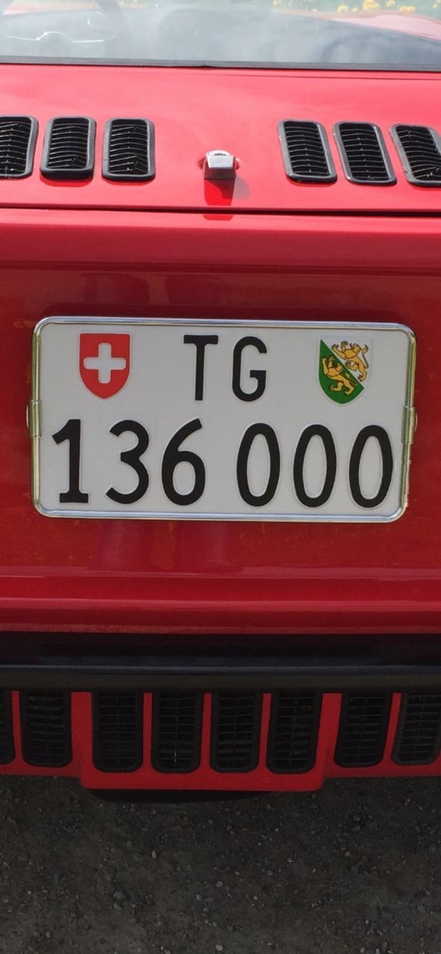 Insegne: Autonummer Kontrollschild TG Thurgau – Usato da Sirnach venduto da MaechlerAutomobile