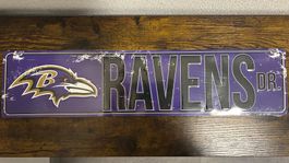 🏈 NFL Baltimore Ravens Dr. Schild (60x14cm) (Lizenziert)