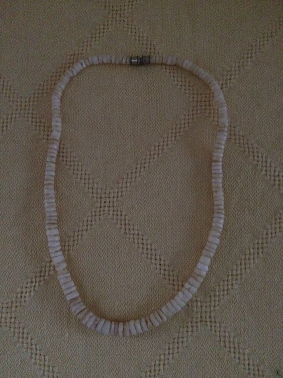 Hamilton Pet Hundeleine 1,8 M – Aus Nylon, 1,9 Cm Breit, Mit Drehverschluss, Beerenblau