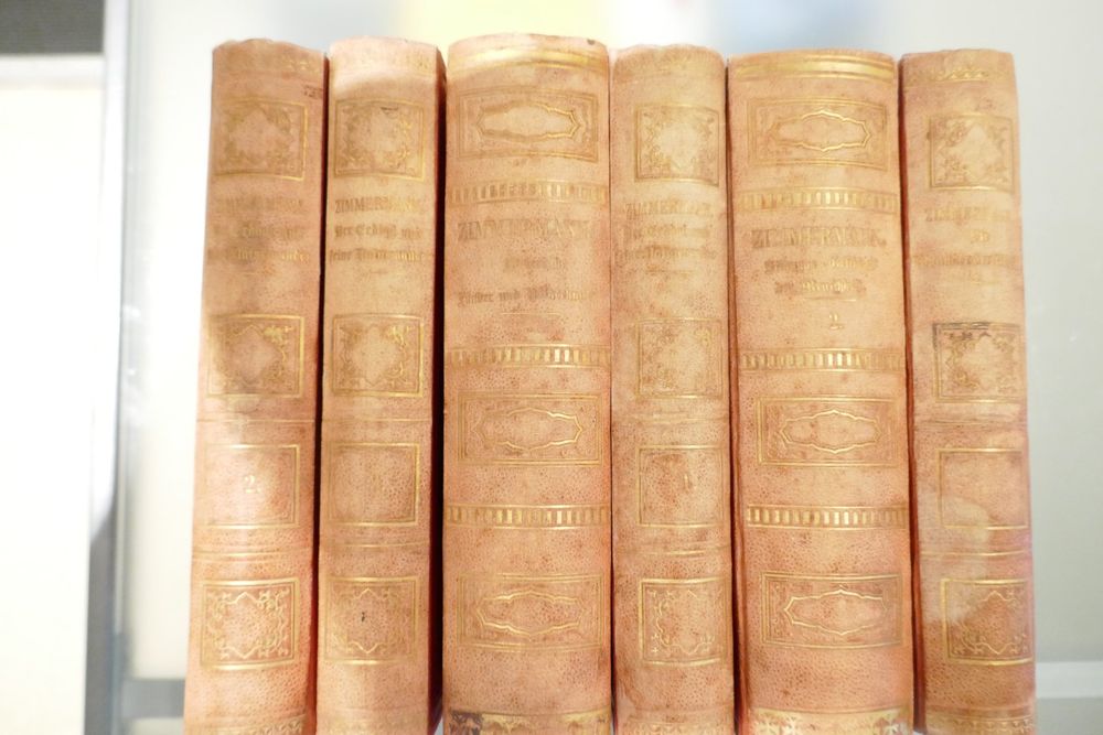 Livres: 6 Antike Bücher 1886-87 von Dr. A. Zimmermann Berlin – D'occasion à Schaffhausen par swisswatches-andmore