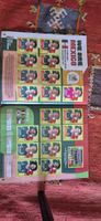 Album Fifa WC26 COMPLET (Panini)
