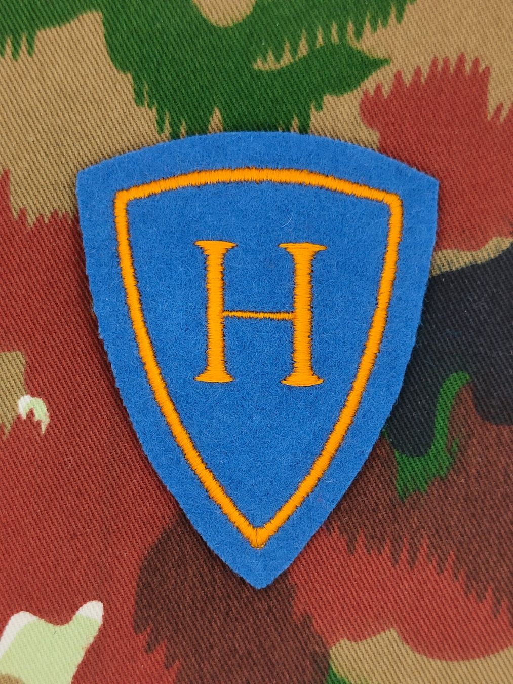 Schweizer Armee Placchette & Badge:  Funktionsabzeichen Hospitalisationsoffizier Ord. 1972, V2 – Usato da Bauma venduto da SwissMilitaria