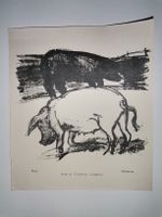 Pietro Chiesa Lugano – Porci / Schweine Original Holzschnitt