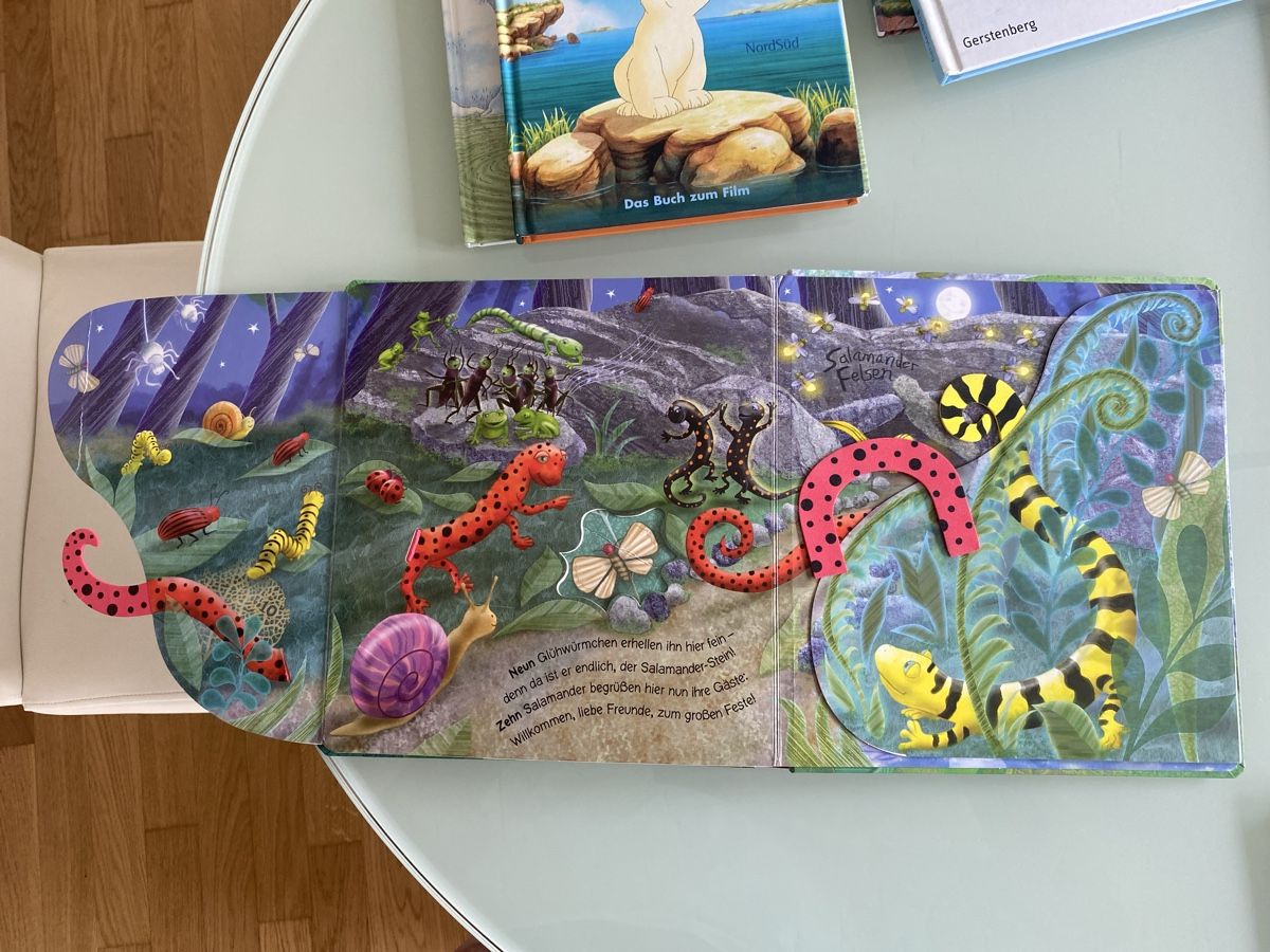 Libri: Pop-up Buch "Auf dem Salamander-Felsen" – Usato da Schmerikon venduto da SwissKFO 6