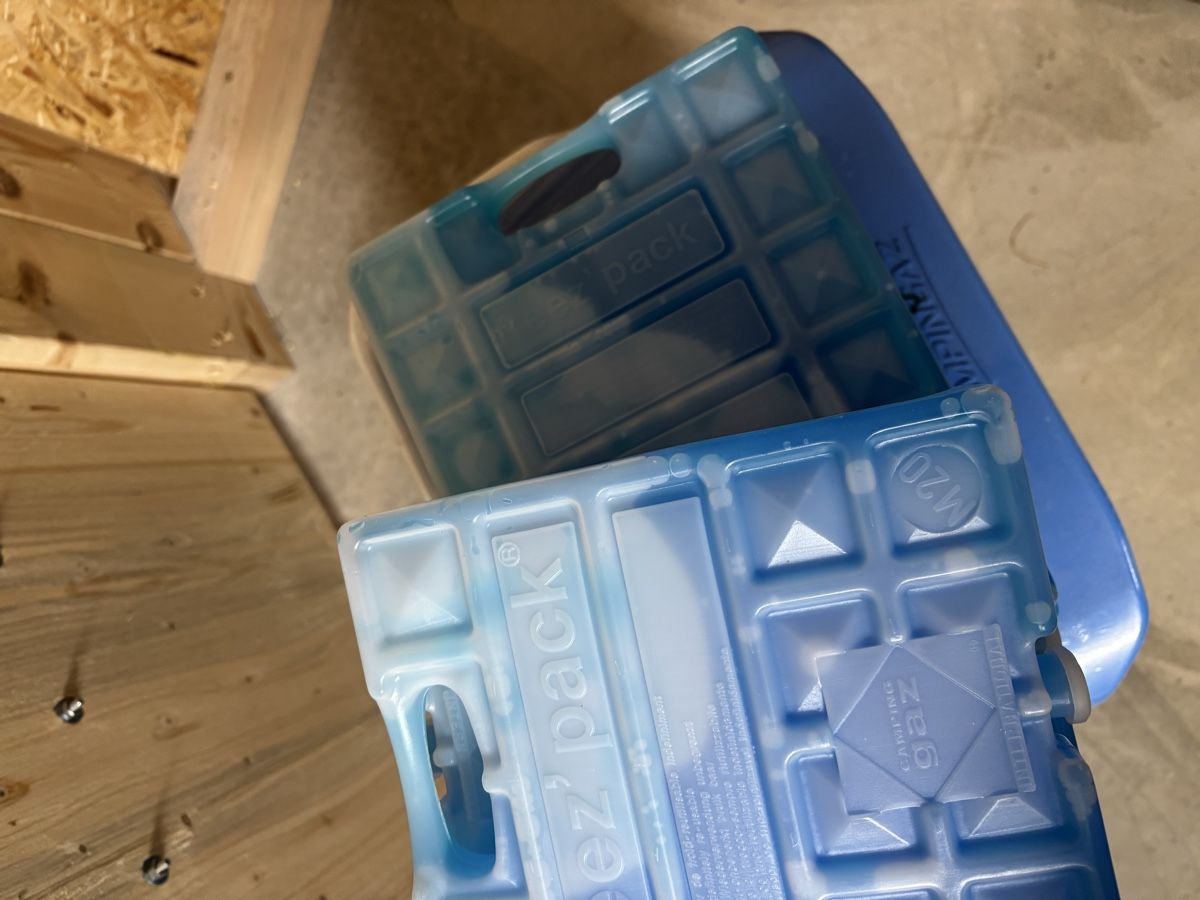 Frigoriferi & Refrigeratori: Kühlbox 26l + 6 Kühlelemente – Nuovo e nell'imballaggio originale da Flums venduto da mic_p28w 4