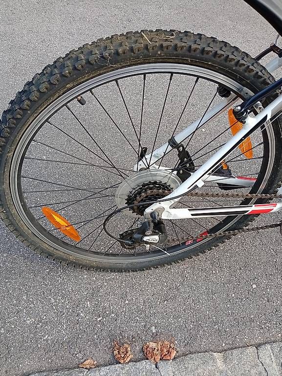 Velos: Mountain Bike California Tucson 26" – Gebraucht aus Gorduno von mor_y5bd 3