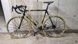 Rennrad Colnago Carbon C40 HP B-Stay