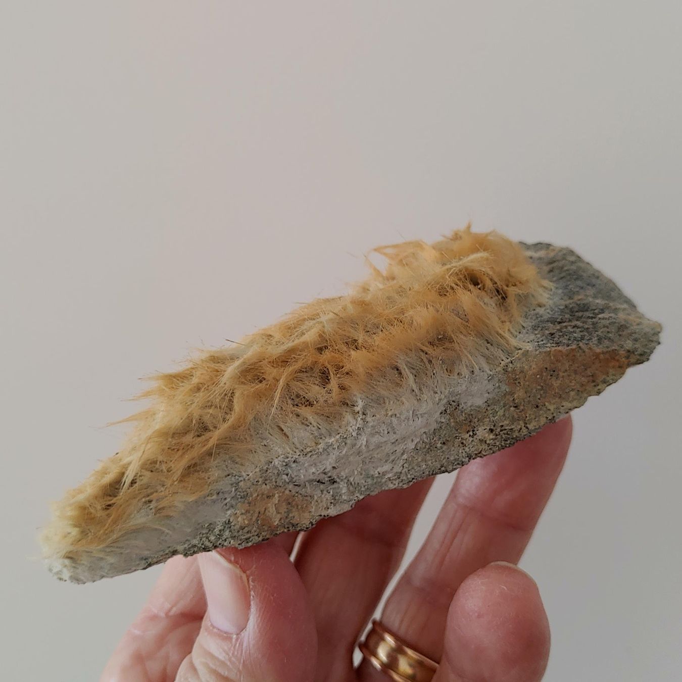 Minerali & Pietre curative: Schöne Amiant-Stufe, Maderanertal UR, Eigenfund – Nuovo e nell'imballaggio originale da Steinhausen venduto da Kristall022 3