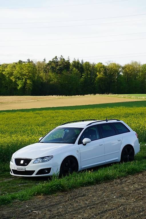 Automobili: Seat Exeo 2.0 TDI – Usato da Rorbas venduto da D.V123 1