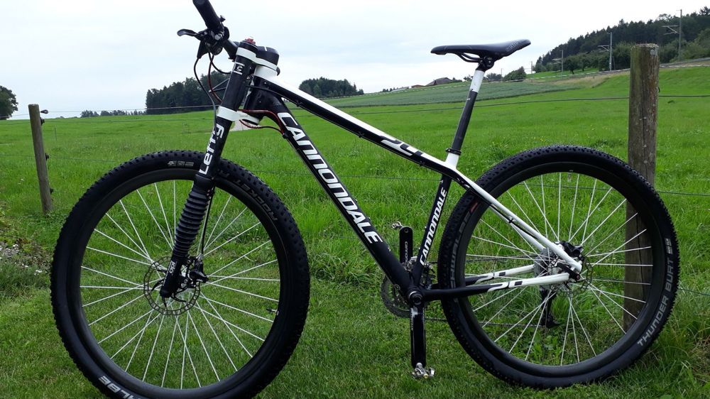 Cannondale flash carbon deals 29er