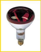 Ampoules Infra-rouge chauffantes OSRAM SICCATHERM 250W, NEUF