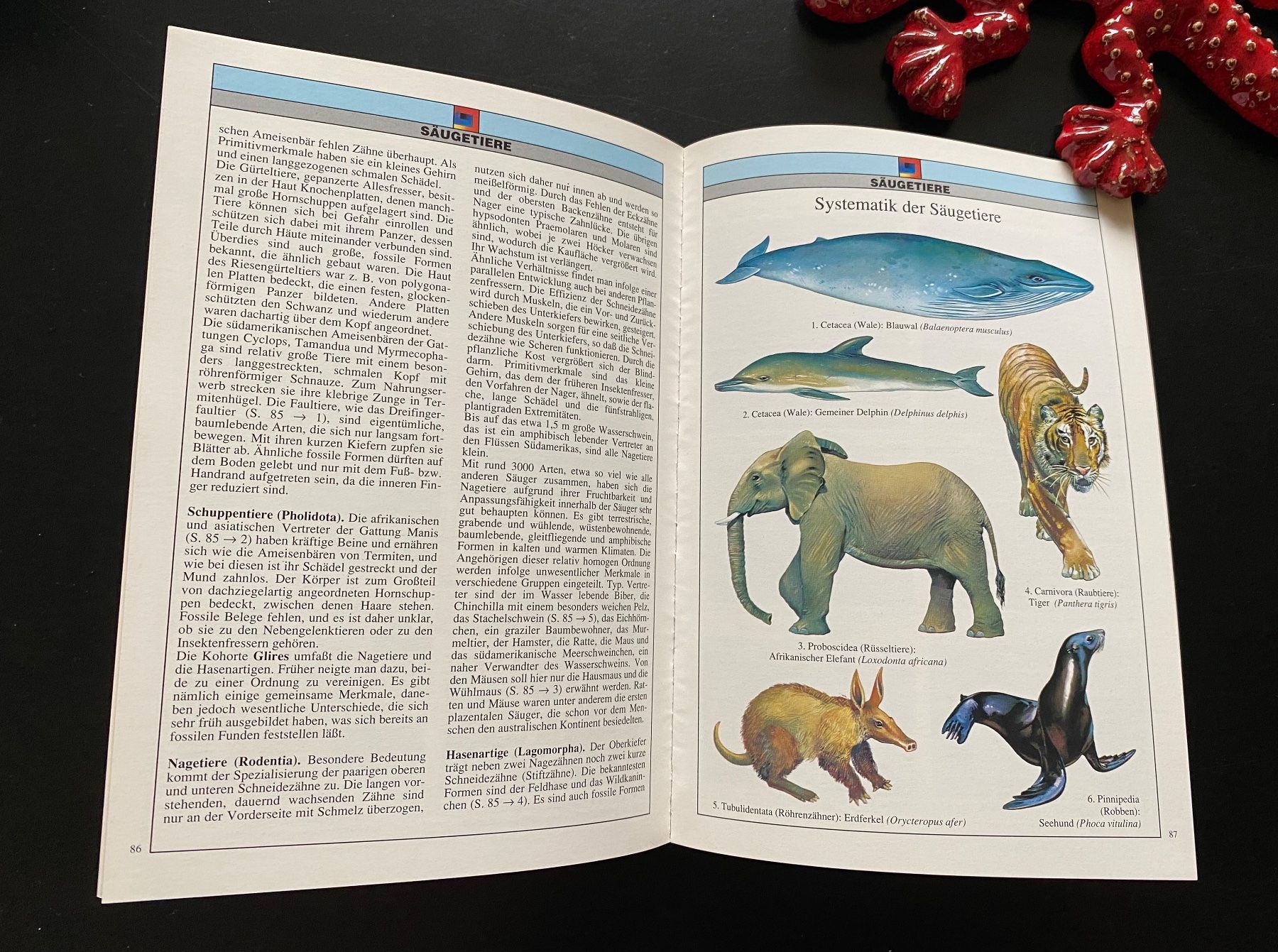 Libri: ZOOLOGIE / WIRBELTIERE – Usato da Nussbaumen AG venduto da schuba2000 5