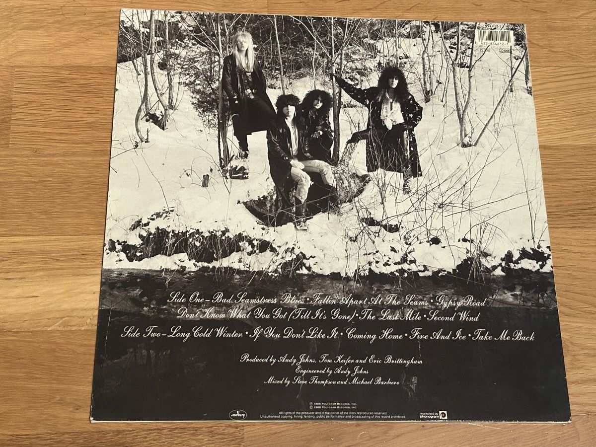 Vinyles: Cinderella. 1988. Long Cold Winter – D'occasion à Faulensee par Mizuno06 1