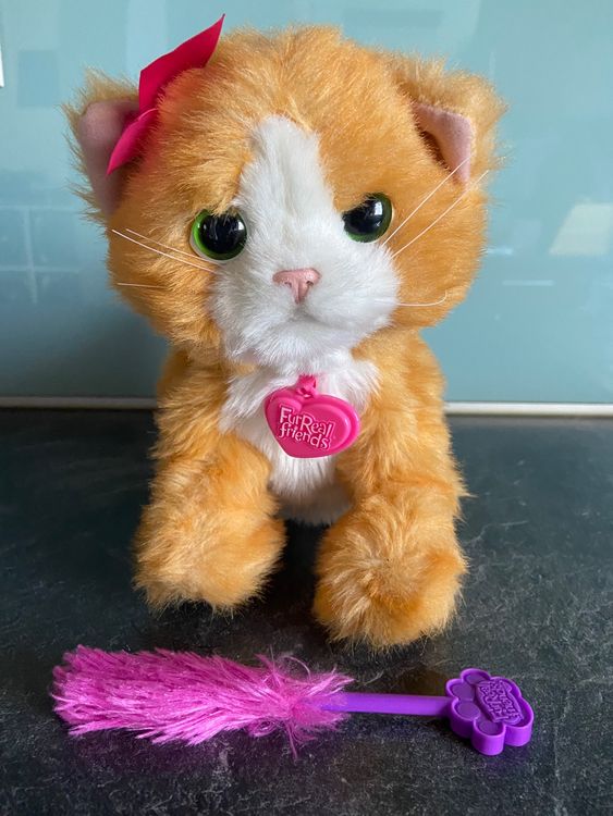 Hasbro FurReal Friends Katze Daisy Kaufen auf Ricardo