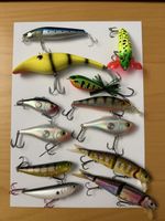 Rapala, Lucky Craft, Savage Gear und Shimano Kunstköder