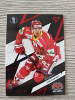 EHC Biel-Bienne Rodwin Dionicio 28/30 Playoff Karte