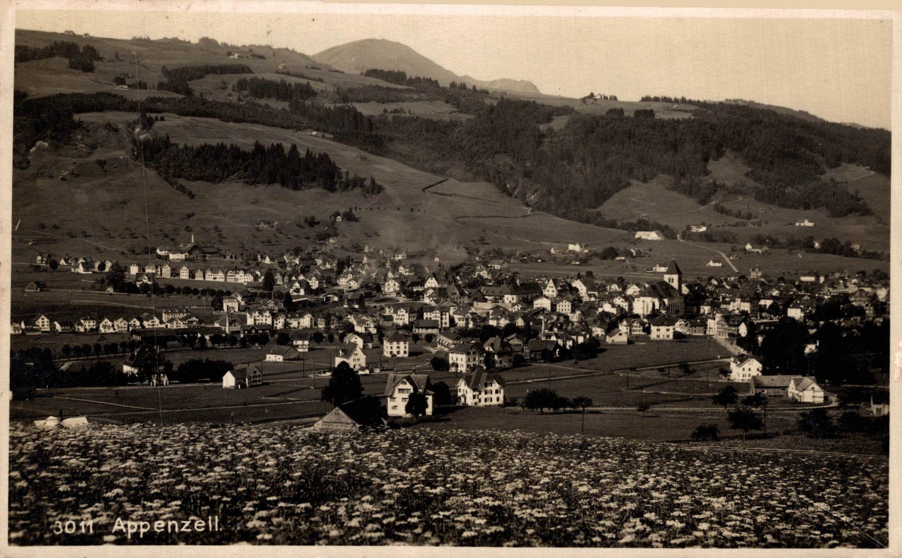 Cartoline postali: Appenzell, Gesamtansicht – Usato da Bronschhofen venduto da Astore