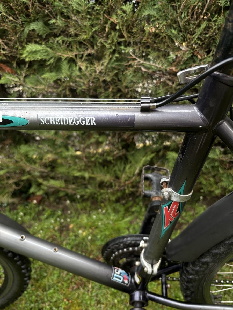 K2 Biciclette: Super light Scheidegger K2 Grey – Usato da St-Sulpice VD venduto da Maddi_the_biker 5