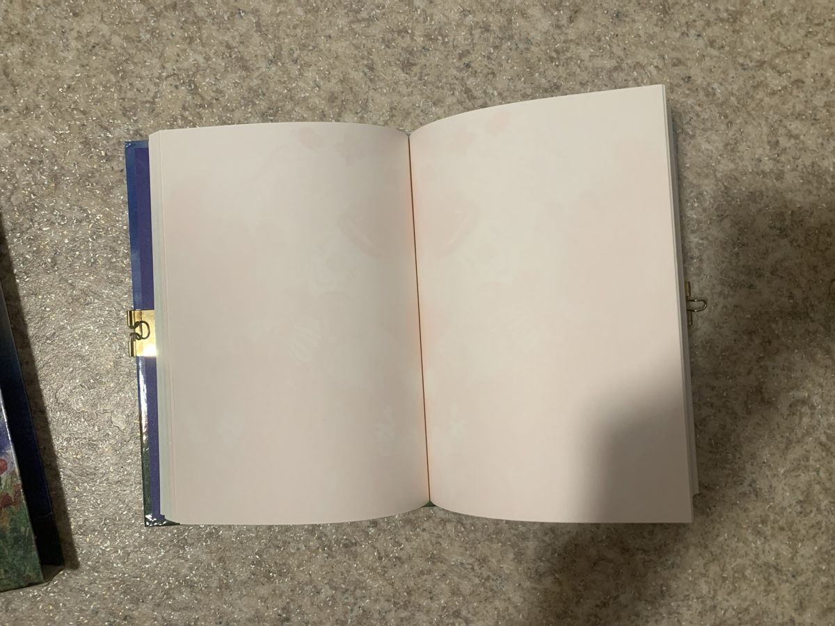 Bücher: Notizbuch Motiv Clown – Neu (gemäss Beschreibung) aus Sempach von Nimsaj5 5