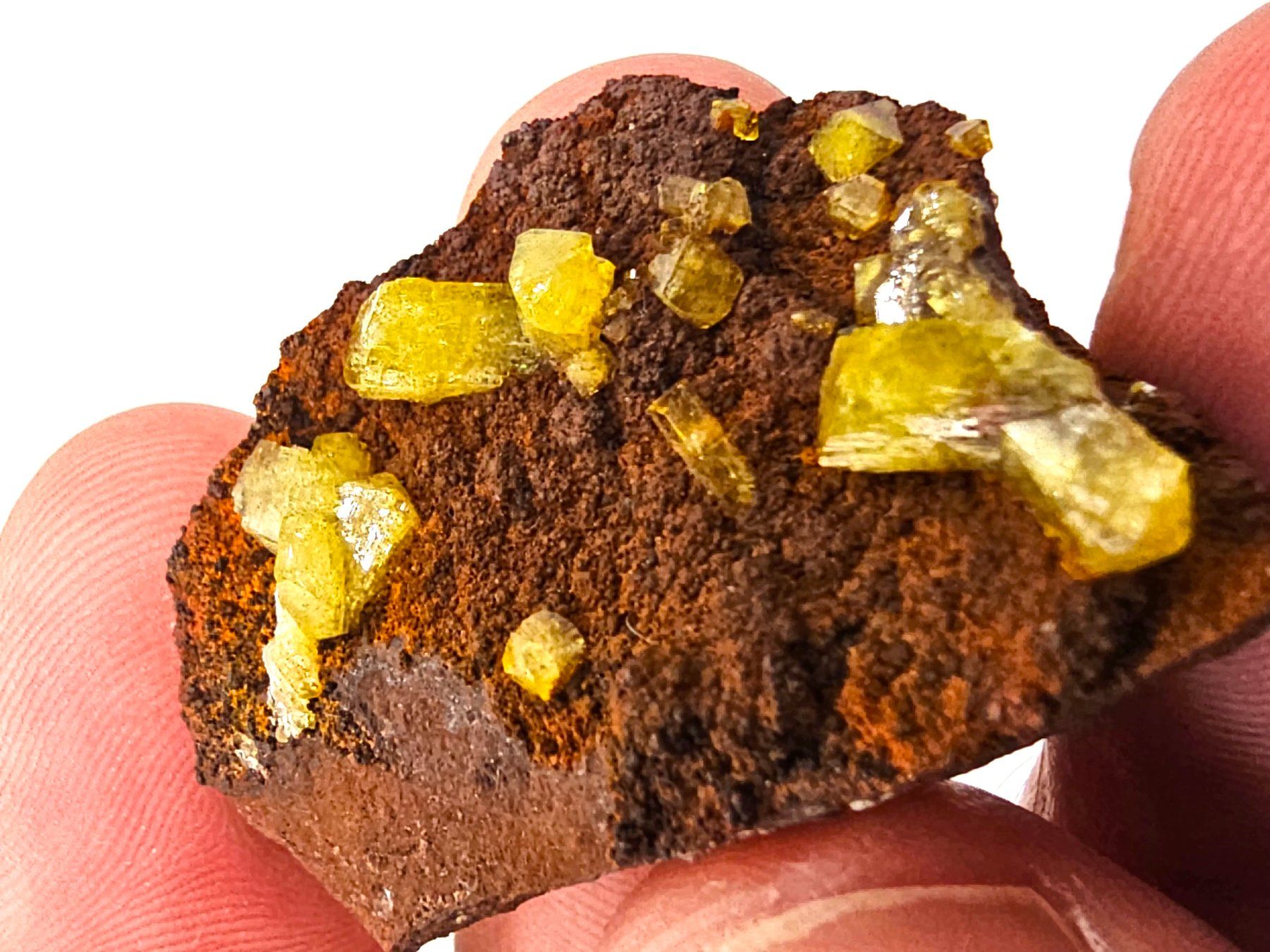 Minerali & Pietre curative: Adamite - Ojuela Mine, Mapimi, Durango, Mexico – Usato da Figino venduto da minshop 4