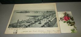 RAR: Mammoth Post Card Brighton; Riesen Postkarte gelaufen