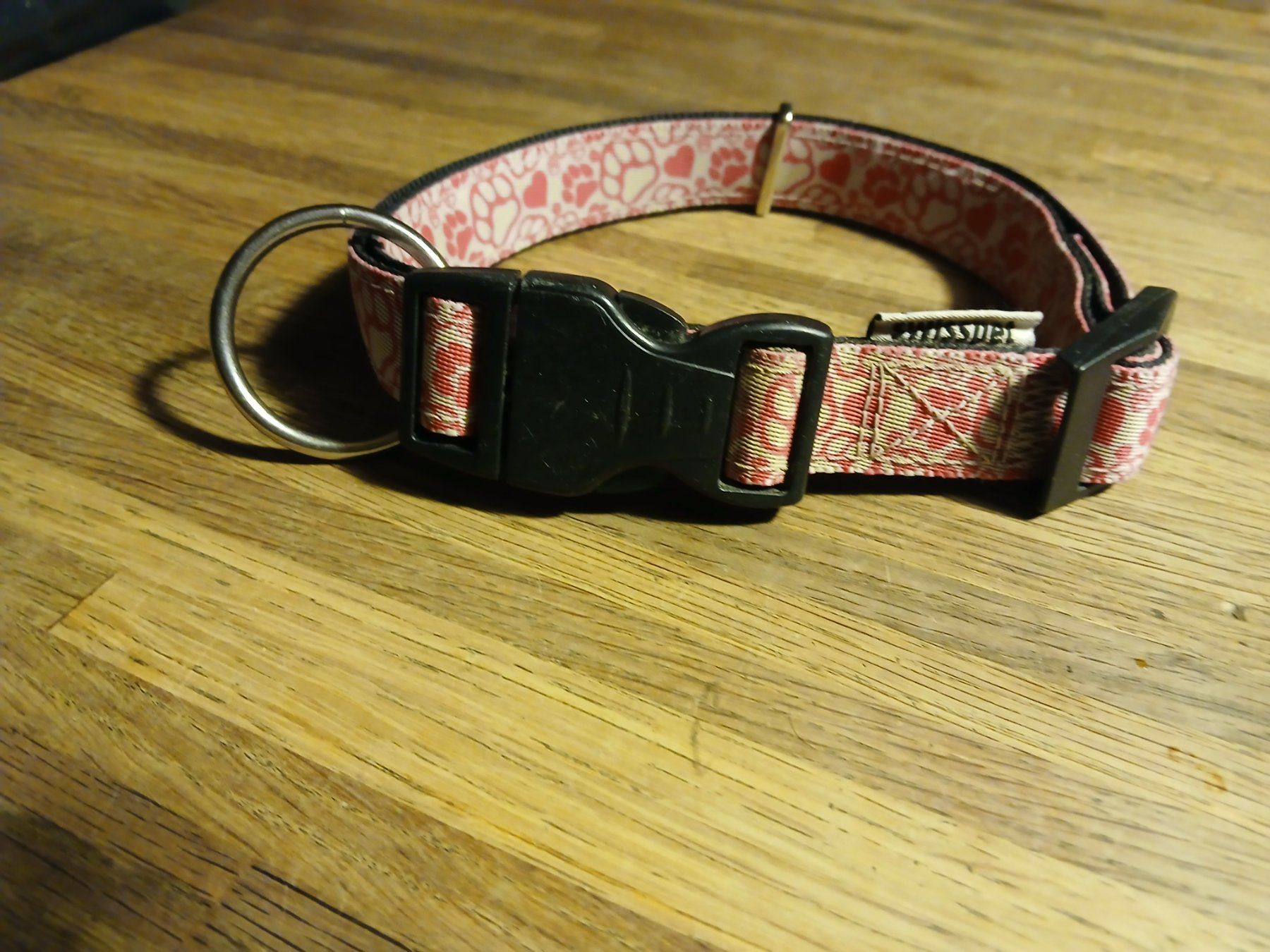Swisspet Collier et laisse: Halsband – D'occasion à Oberramsern par lal_7v57 1