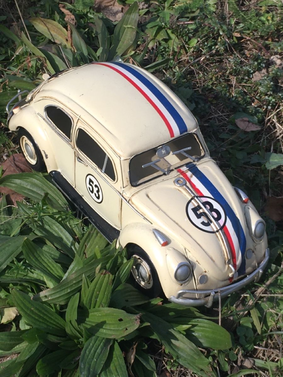 Modellautos: HERBIE 53 der Käfer – Gebraucht aus Wangen b. Olten von