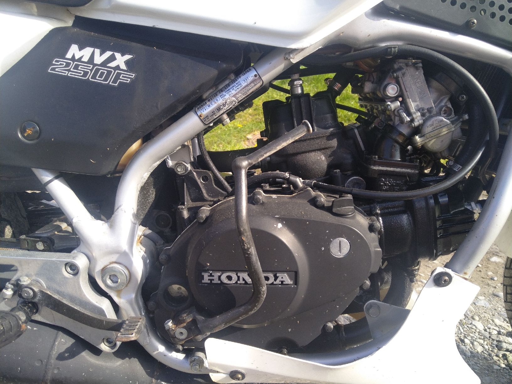 Honda Strasse: HONDA MVX 250 F RARITÄT – Gebraucht aus Bollingen von opelmantaGTE 5