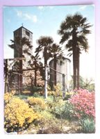 Locarno, Rivapiana, Chiesa di S. Quirico
