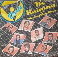 Vinyl-Single Darts - It's Raining