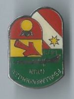FS-Allmendingen Thun Pin