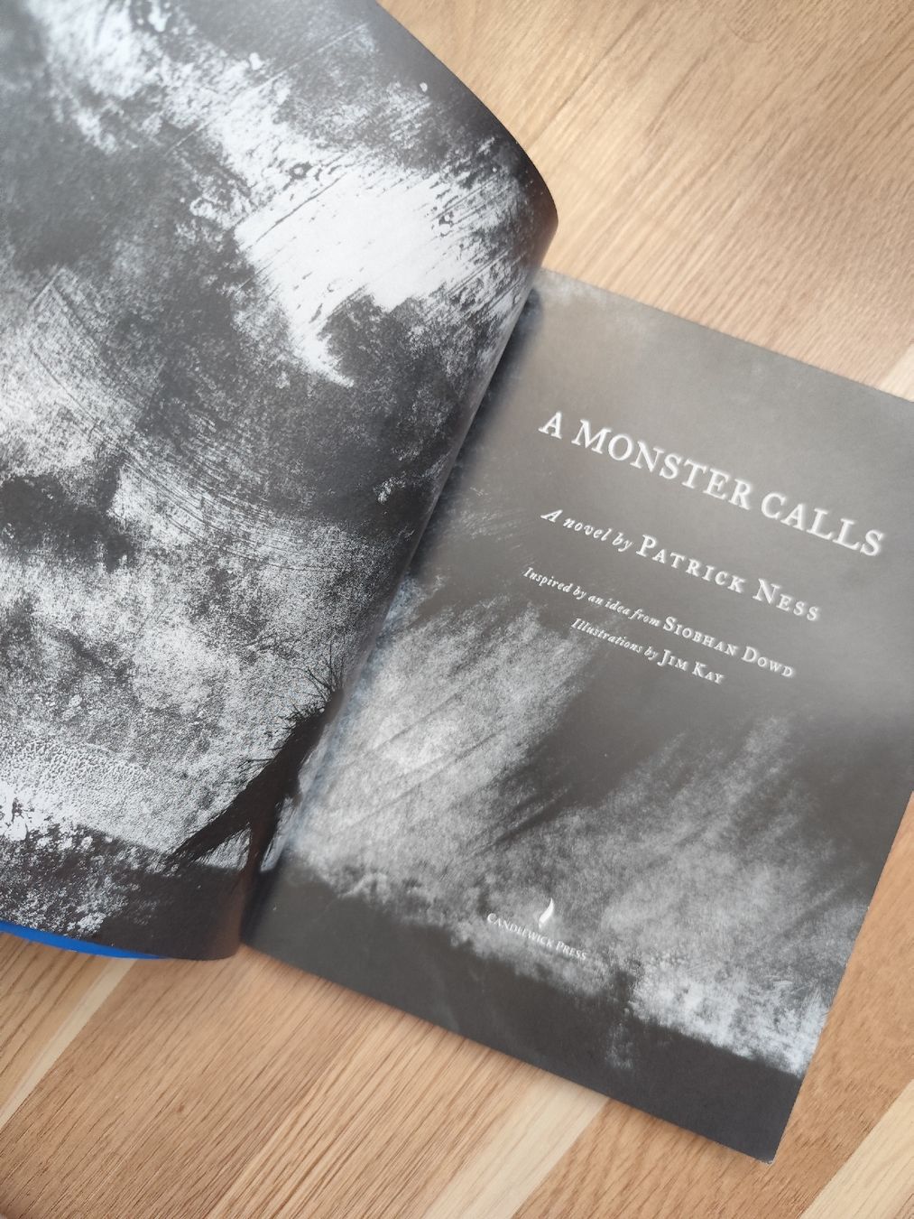 Libri: A Monster Calls by Patrick Ness – Usato da Mägenwil venduto da VintageGirly 4