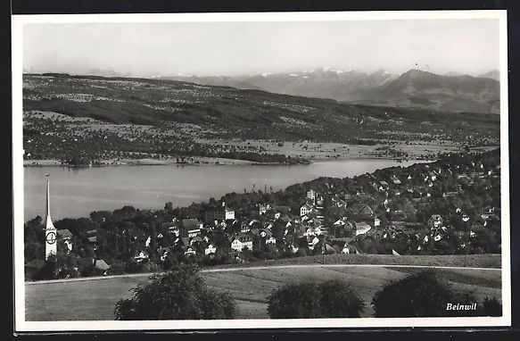 Cartoline postali: Beinwil, Ortsansicht mit Kirche und See – Usato da Berlin venduto da bartko-reher