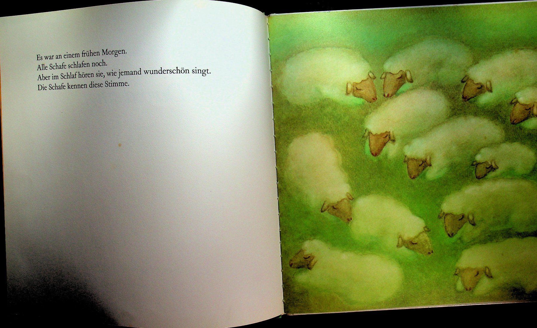 Libri: Masahiro Kasuya David singt Kinder Bilderbuch – Usato da Reitnau venduto da Zaomir 3