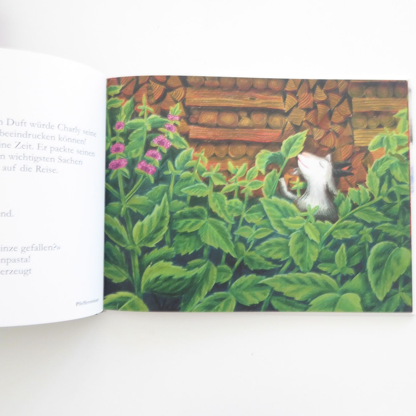 Libri: Der stinkende Geissbock - Duftbuch – Usato da Basel venduto da Kunterbunt12 4