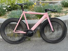 Colossi Low Pro - Fixie/Singlespeed