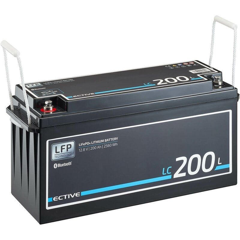 Ective Dispositivi a energia solare: ECTIVE LiFePO4 200Ah - NEU – Nuovo (secondo la descrizione) da Oberentfelden venduto da MrRicardolino 3