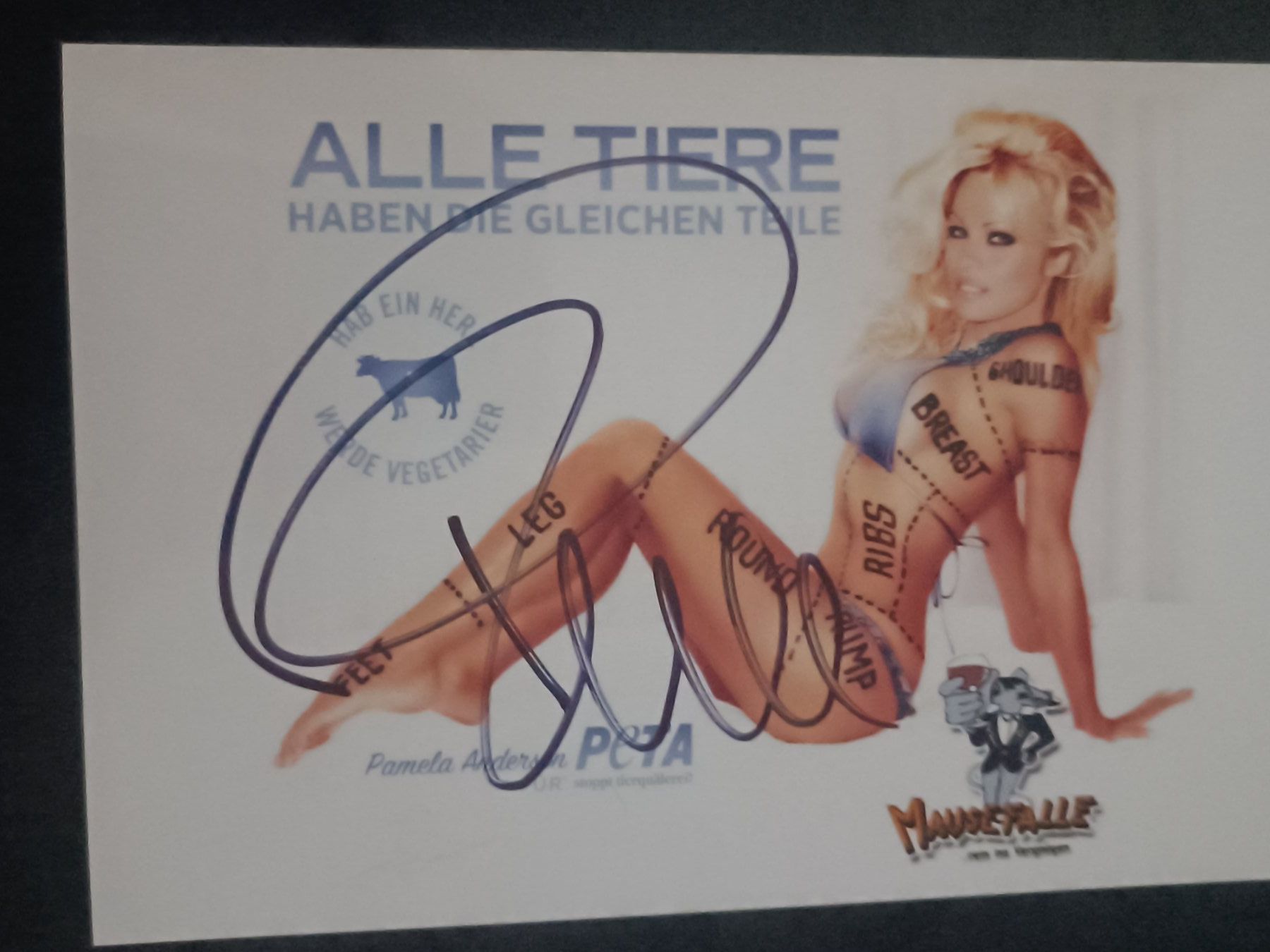 Autogramme: Pamela Anderson - handsigniert – Gebraucht aus Menziken von Artographs