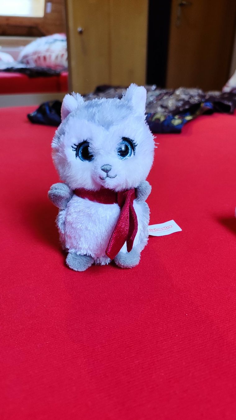 Spielzeuge: Plüschtier Mini Motsu Husky mit Schal NEU – Neu und originalverpackt aus Brüttisellen von nic_xm7s