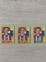 FIFA WM 2026 Sticker Set  Haaland Schjelderup und Pedersen