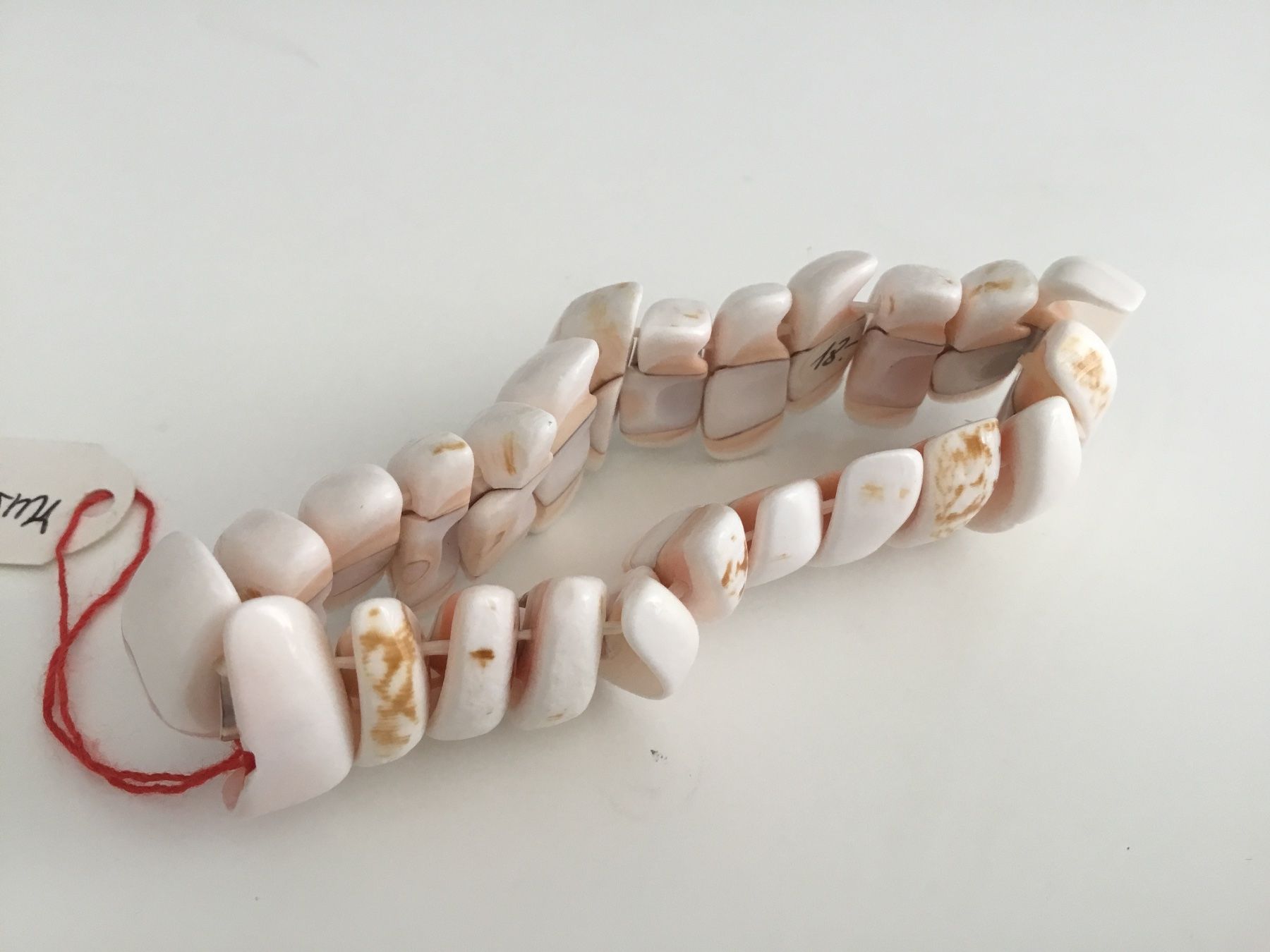 Bracciali & Braccialetti: Armband elastisch aus Muschel – Nuovo (secondo la descrizione) da Doppleschwand venduto da Fortuna5859 2