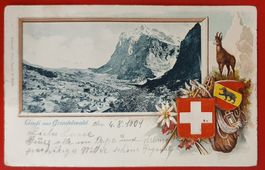 Prägekarte 1901 - Gruss aus Grindelwald